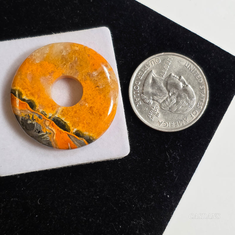 Bumblebee Jasper Donut