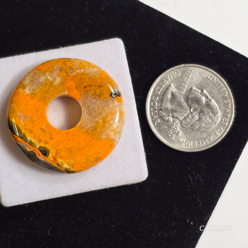 Bumblebee Jasper Donut