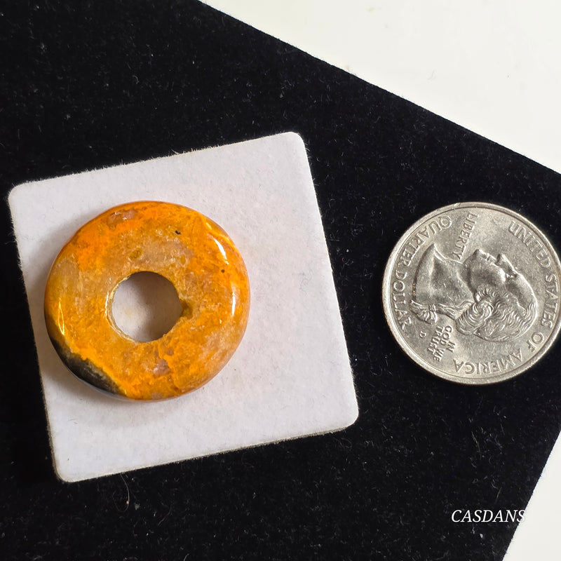 Bumblebee Jasper Donut