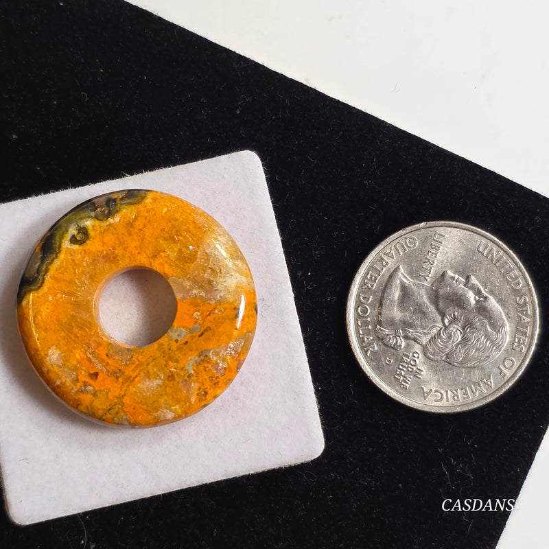 Bumblebee Jasper Donut