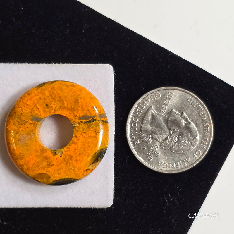 Bumblebee Jasper Donut