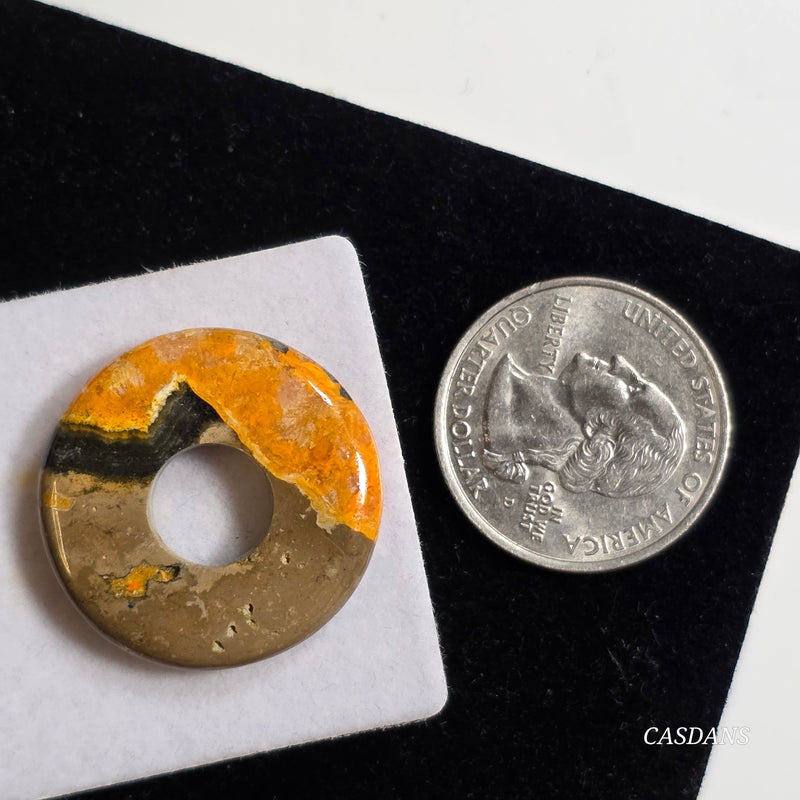 Bumblebee Jasper Donut