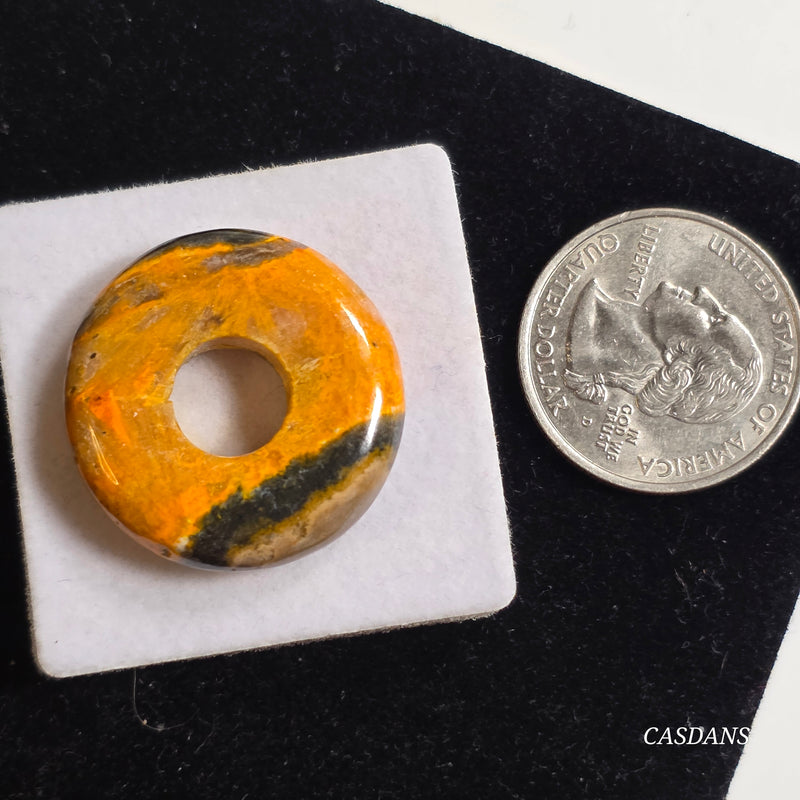 Bumblebee Jasper Donut