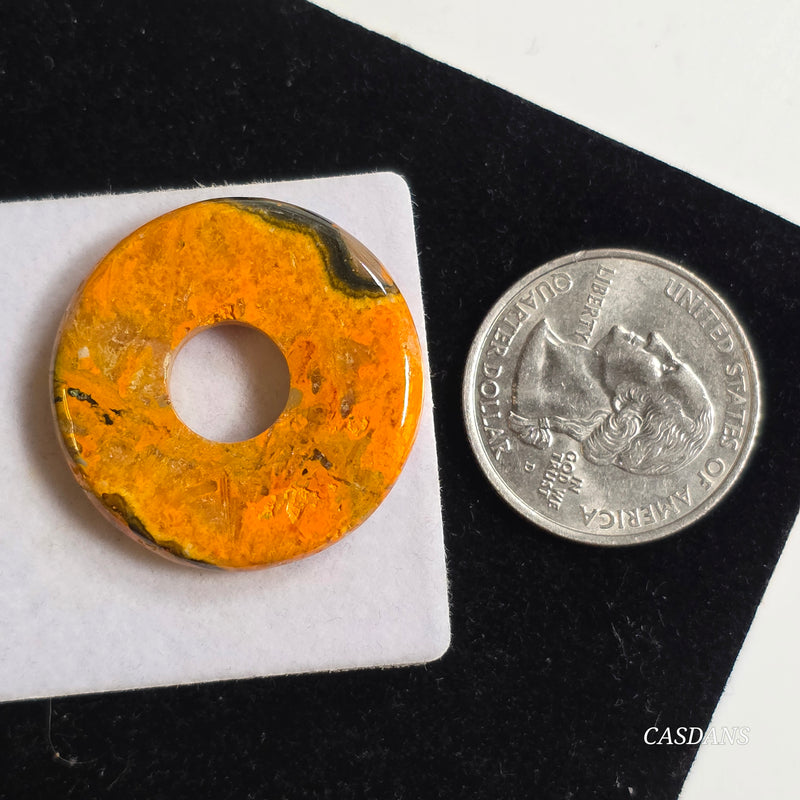 Bumblebee Jasper Donut