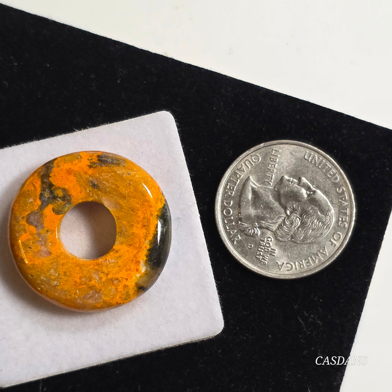 Bumblebee Jasper Donut