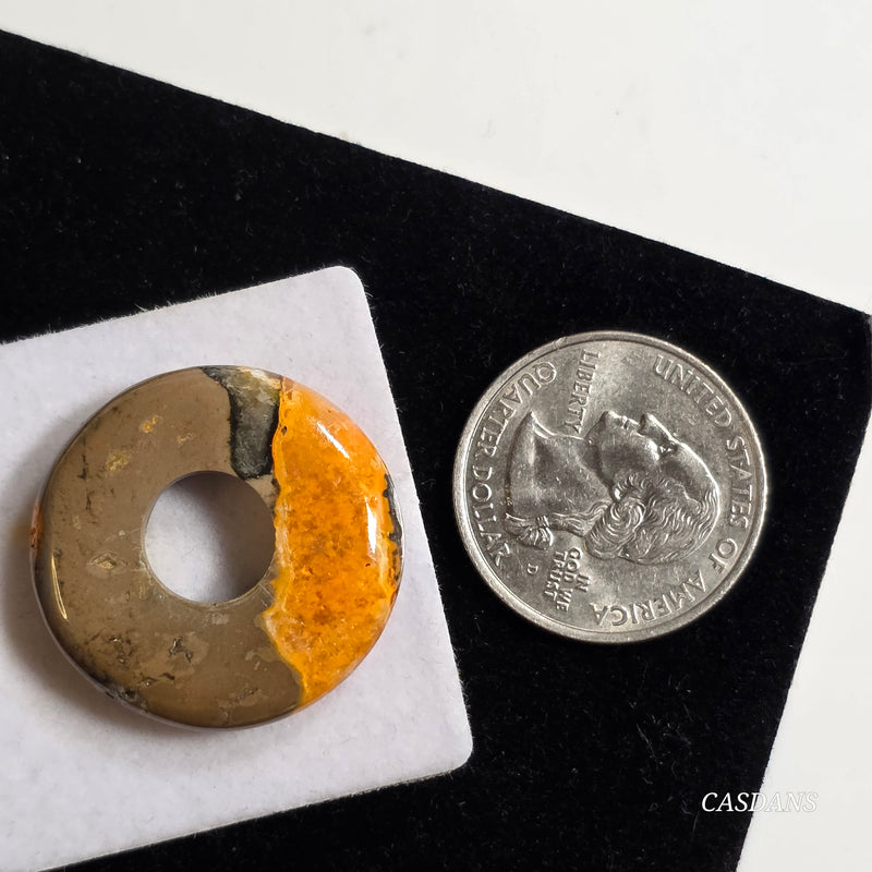 Bumblebee Jasper Donut