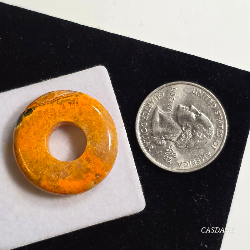 Bumblebee Jasper Donut