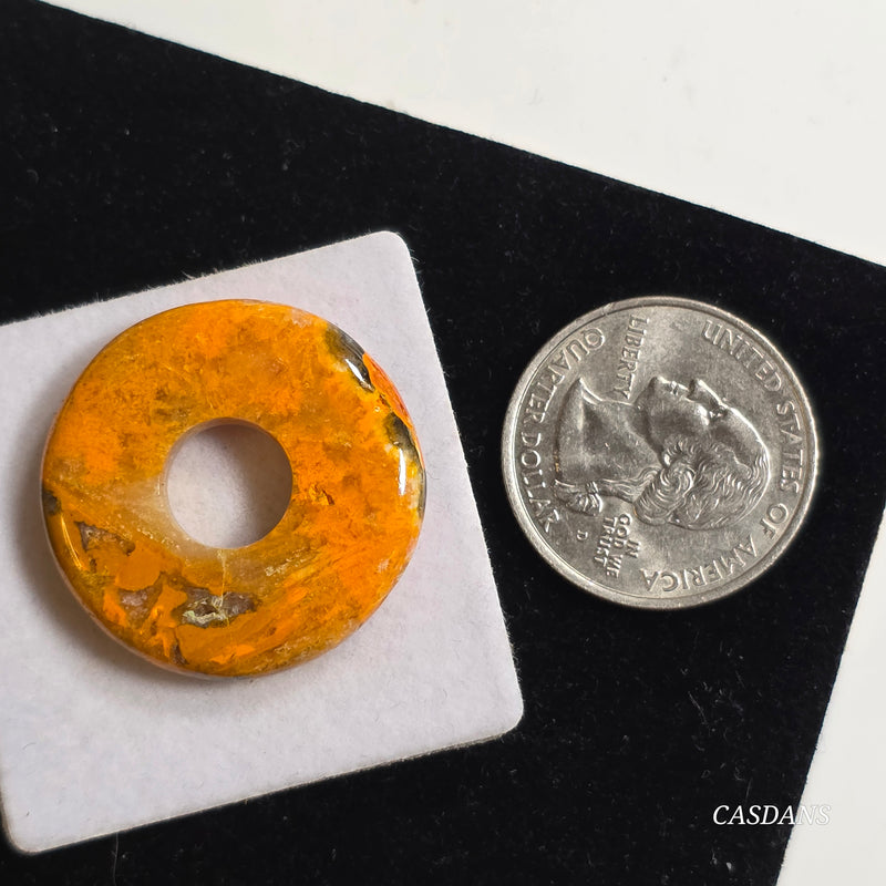 Bumblebee Jasper Donut