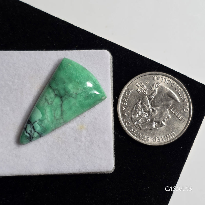 Black Bridge Variscite Cabochon