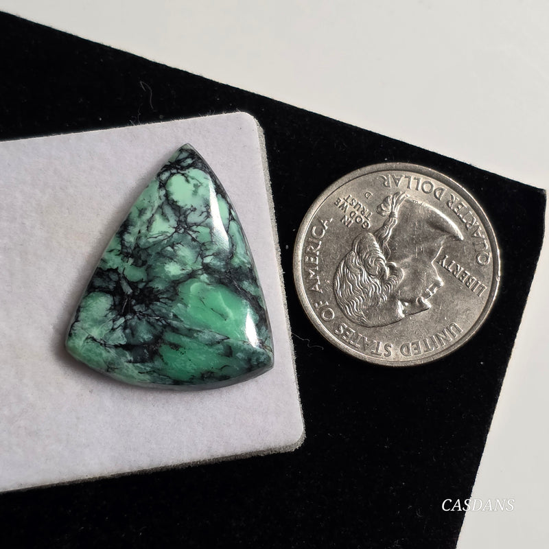 Black Bridge Variscite Cabochon