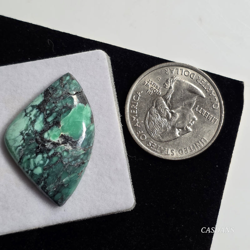 Black Bridge Variscite Cabochon