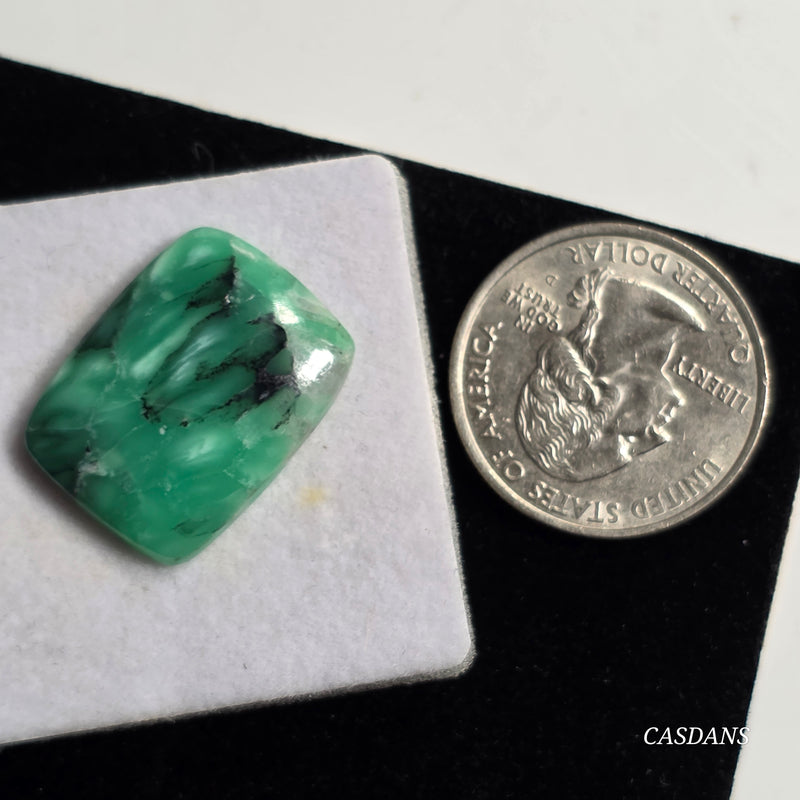 Black Bridge Variscite Cabochon