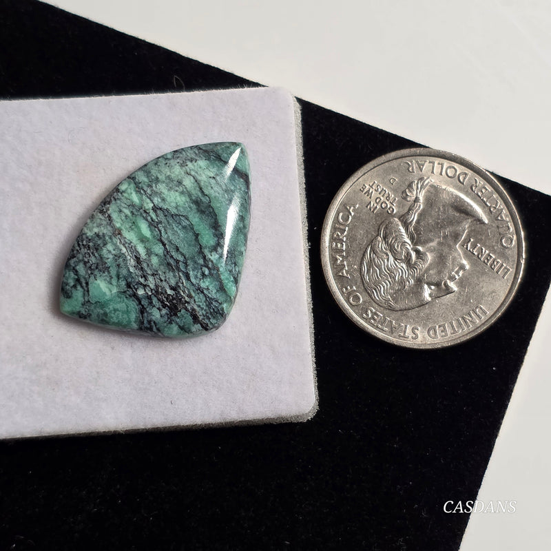 Black Bridge Variscite Cabochon