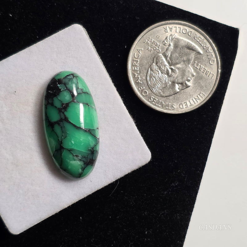 Black Bridge Variscite Cabochon