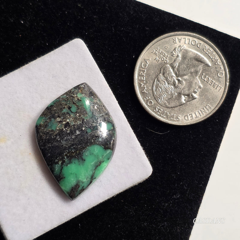 Black Bridge Variscite Cabochon