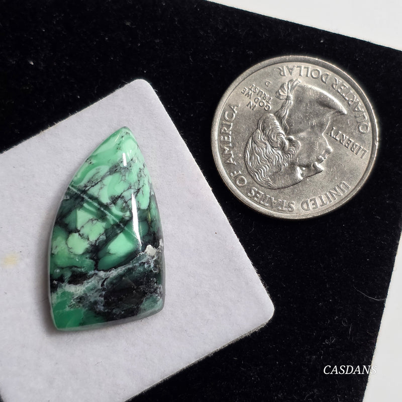 Black Bridge Variscite Cabochon