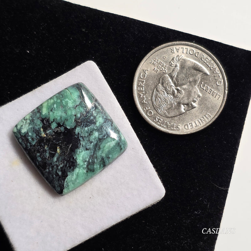 Black Bridge Variscite Cabochon