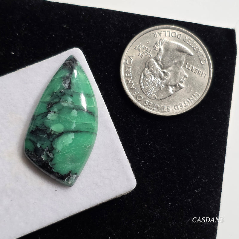 Black Bridge Variscite Cabochon