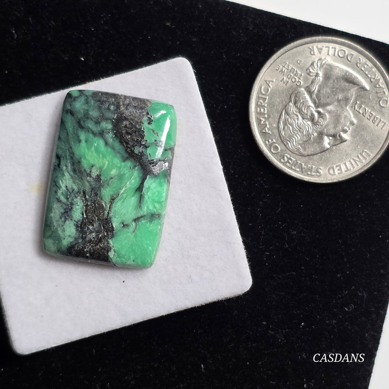 Black Bridge Variscite Cabochon