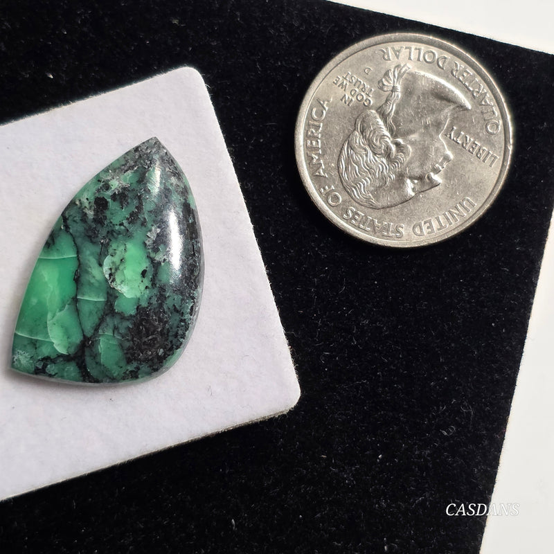 Black Bridge Variscite Cabochon