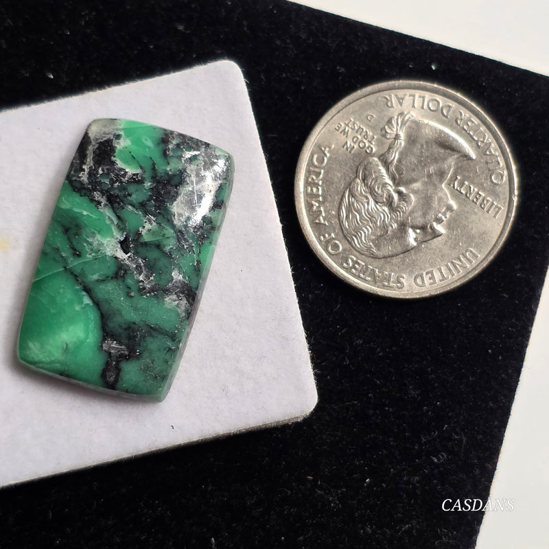 Black Bridge Variscite Cabochon