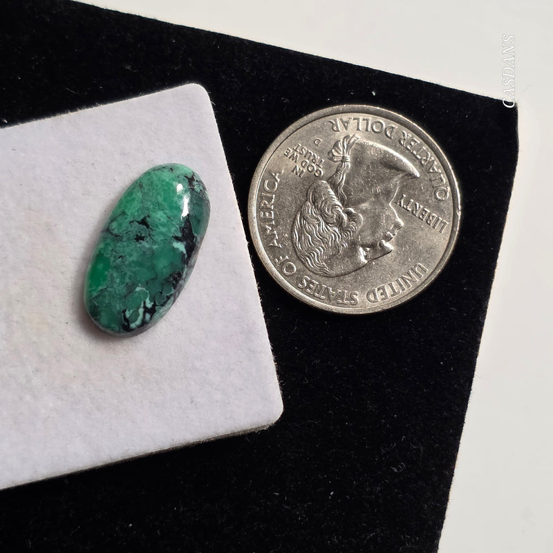 Black Bridge Variscite Cabochon