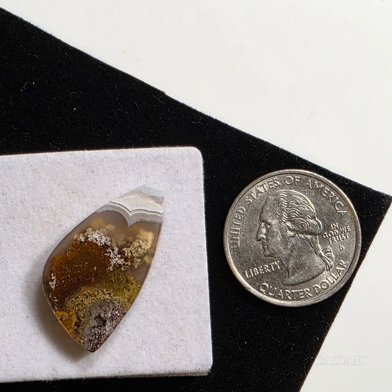 Ternate Moss Agate Cabochon