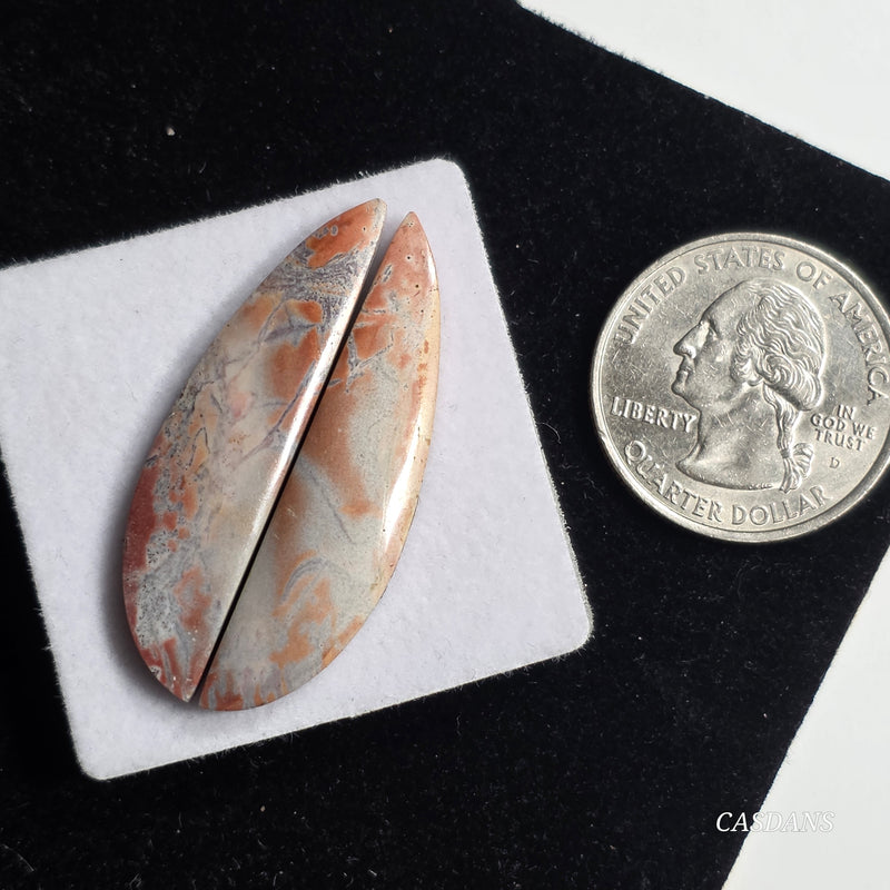 Picasso Jasper Cabochon Pair