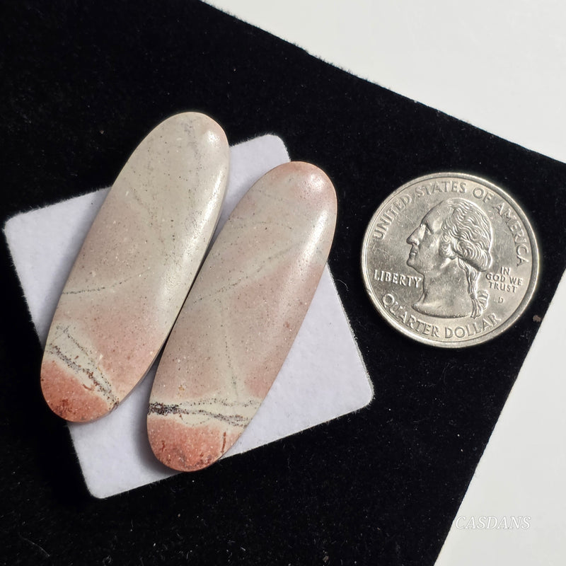 Picasso Jasper Cabochon Pair