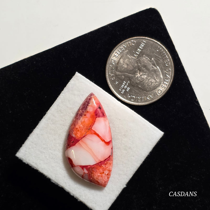 Spondylus Sunset Composite Cabichon