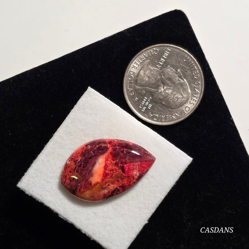 Spondylus Sunset Composite Cabichon