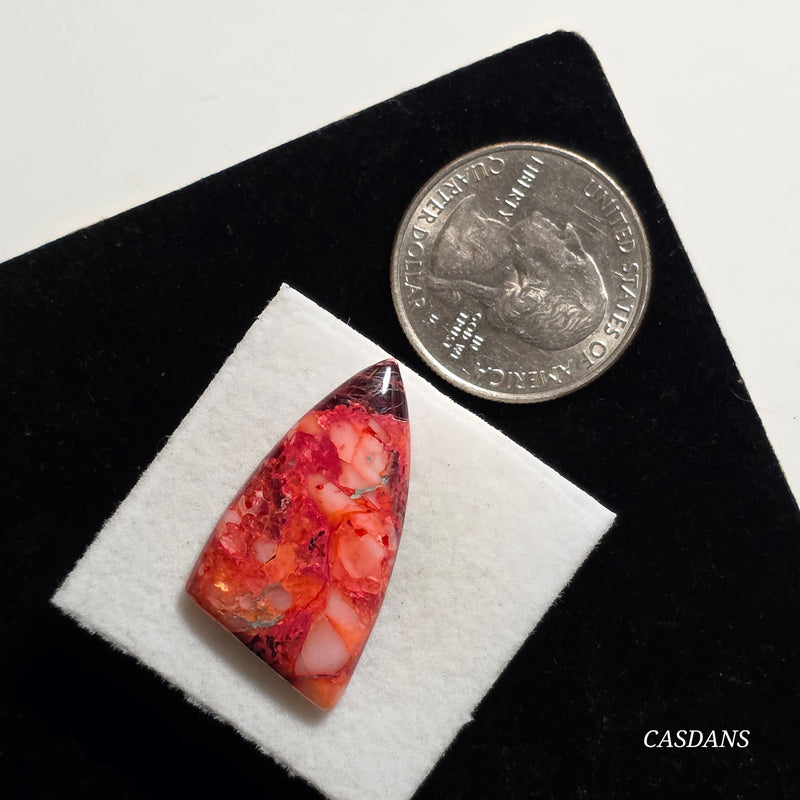 Spondylus Sunset Composite Cabichon