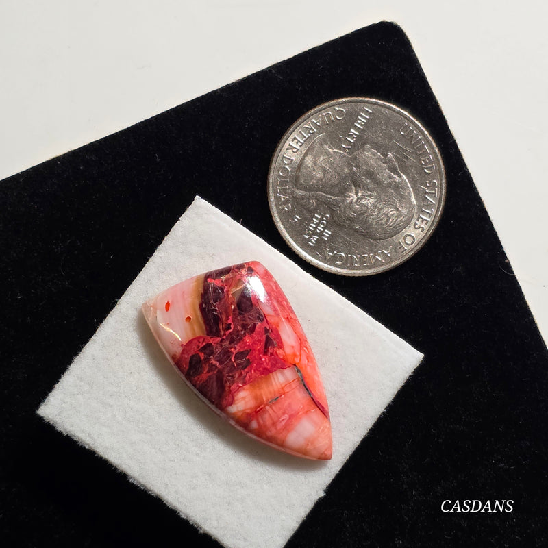 Spondylus Sunset Composite Cabichon