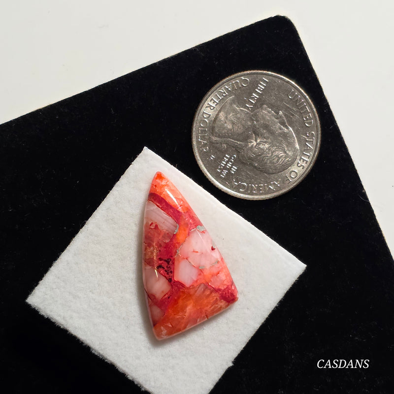 Spondylus Sunset Composite Cabichon