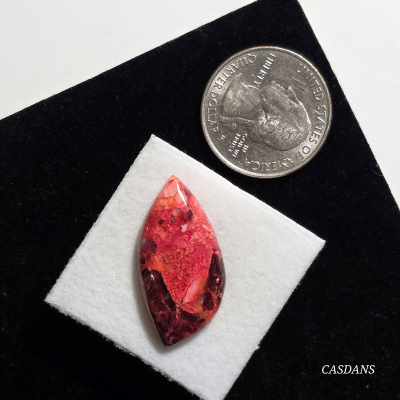 Spondylus Sunset Composite Cabichon