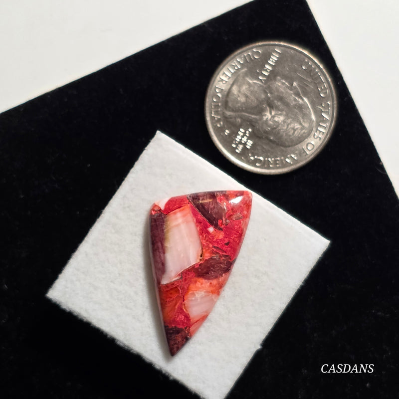 Spondylus Sunset Composite Cabichon