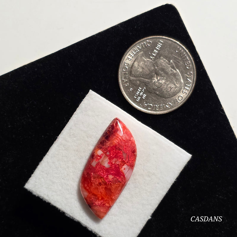 Spondylus Sunset Composite Cabichon