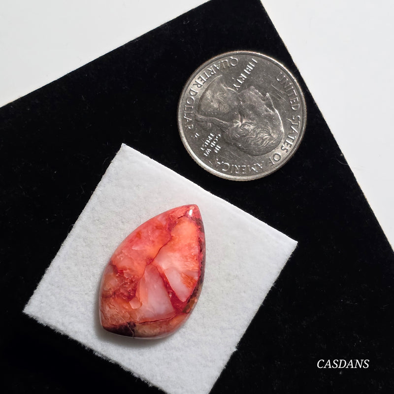 Spondylus Sunset Composite Cabichon