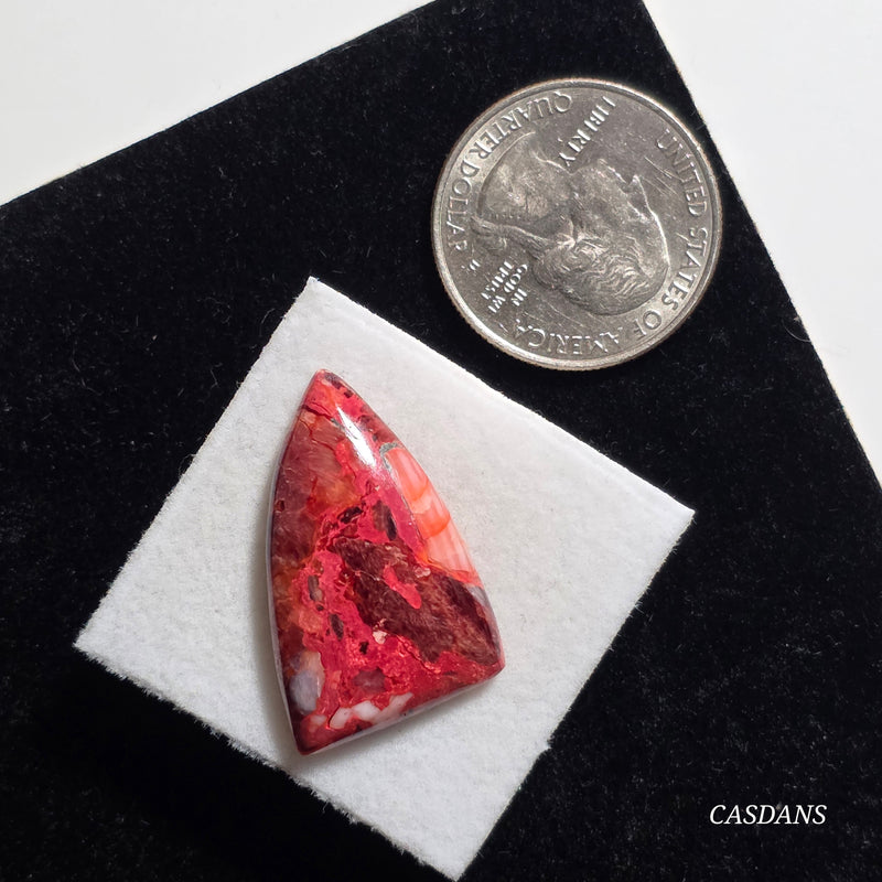 Spondylus Sunset Composite Cabichon