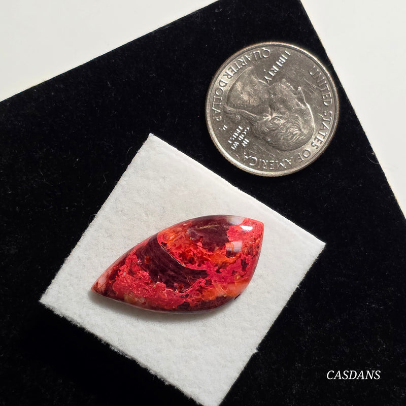 Spondylus Sunset Composite Cabichon