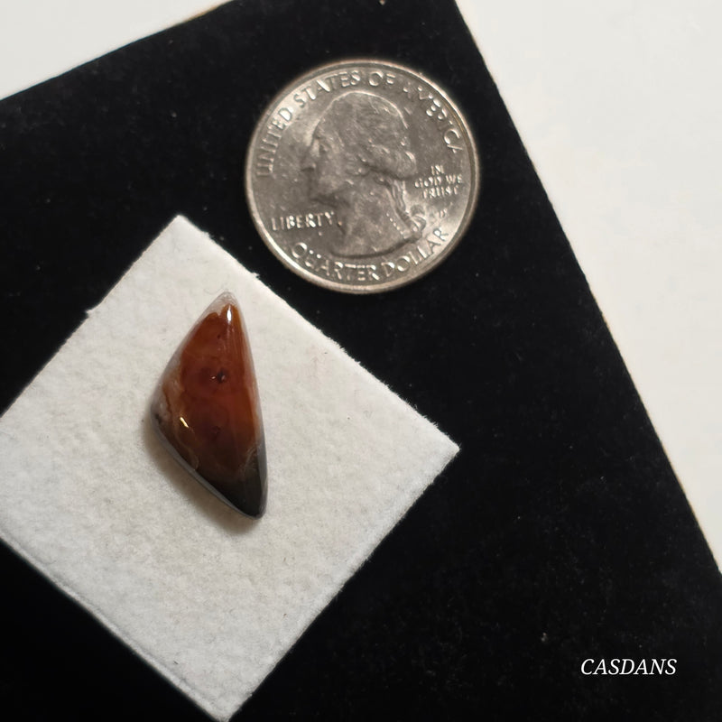 Mexican Agate Cabochon