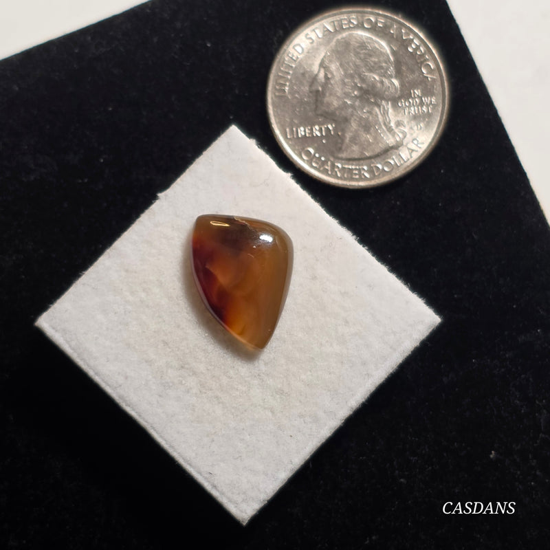 Mexican Agate Cabochon