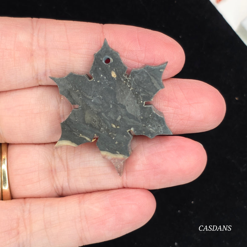 Petrified Wood Snowflake Cabochon