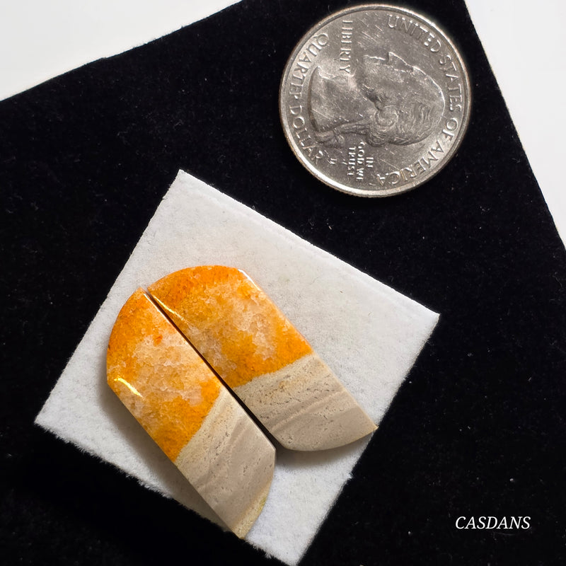 Bumblebee Jasper Cabochon Pair