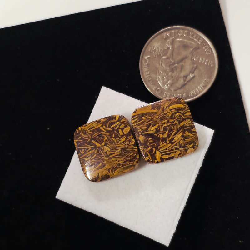Miriam Stone / Calligraphy Stone Cabochon Pair