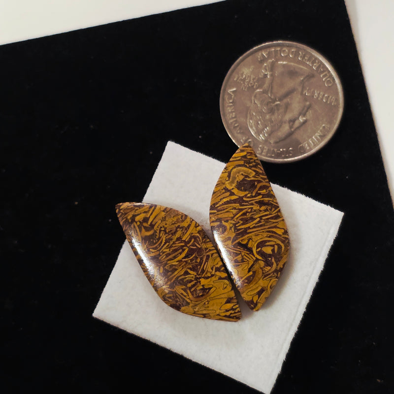 Miriam Stone / Calligraphy Stone Cabochon Pair