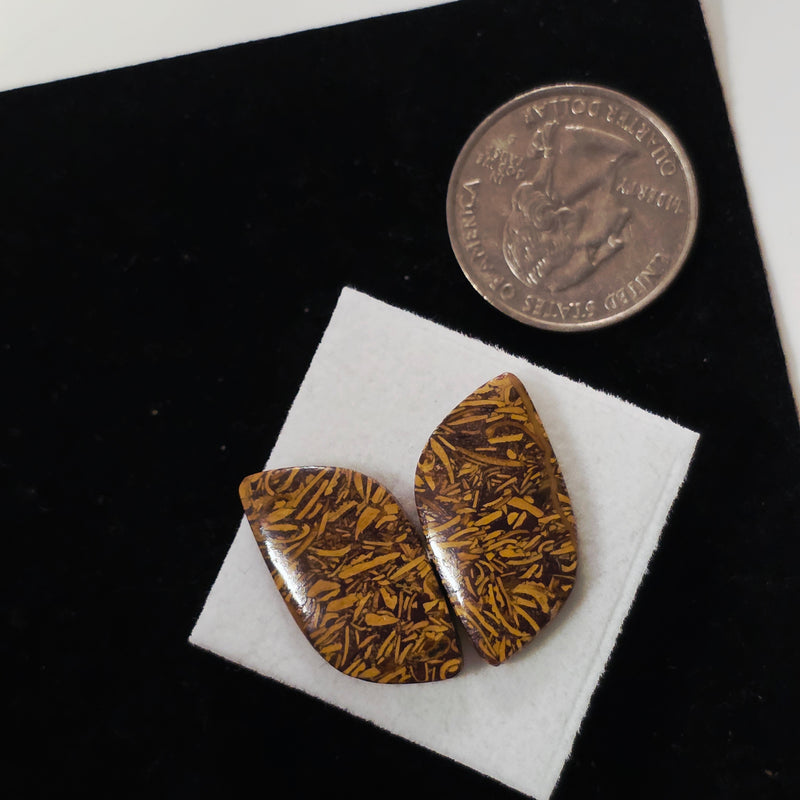 Miriam Stone / Calligraphy Stone Cabochon Pair