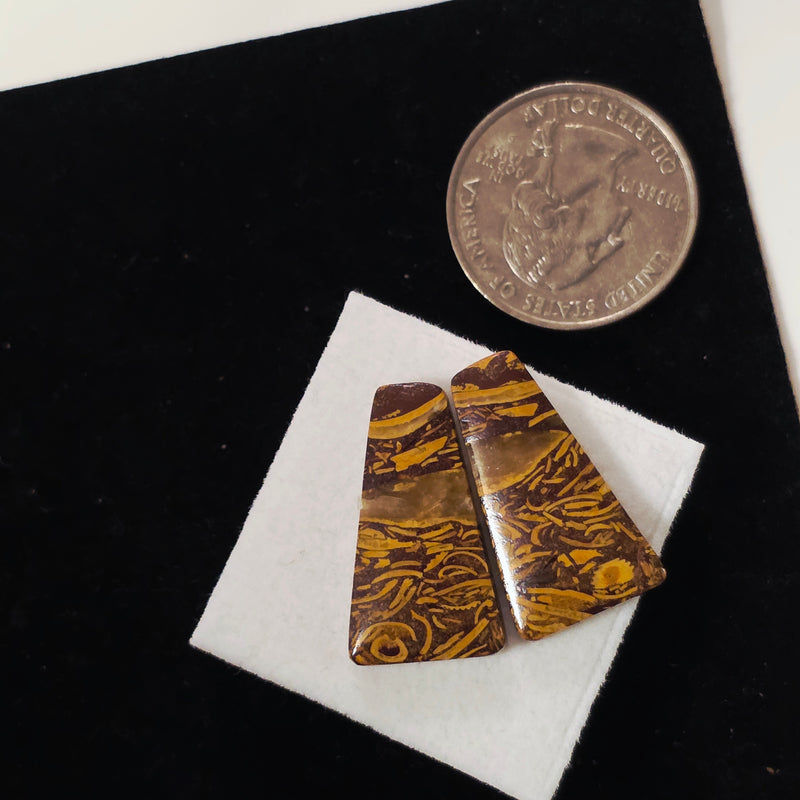 Miriam Stone / Calligraphy Stone Cabochon Pair