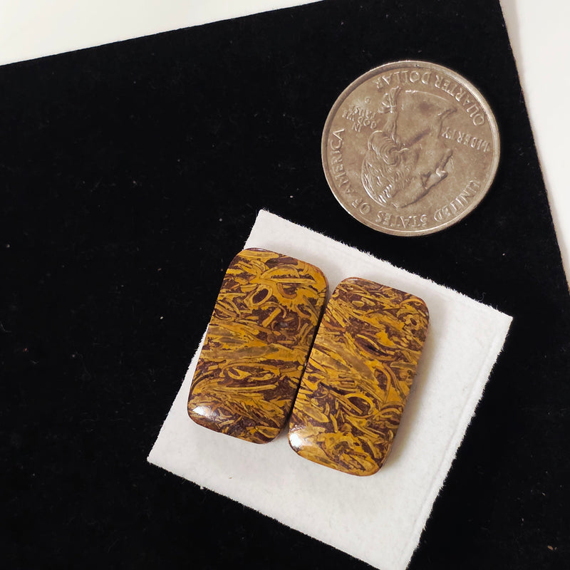 Miriam Stone / Calligraphy Stone Cabochon Pair