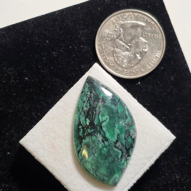Black Bridge Variscite Cabochon